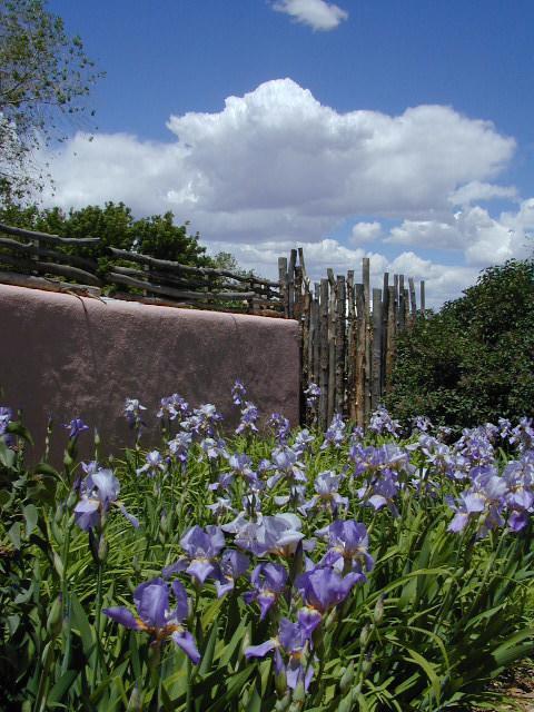 Inn On The Rio Taos Exterior photo