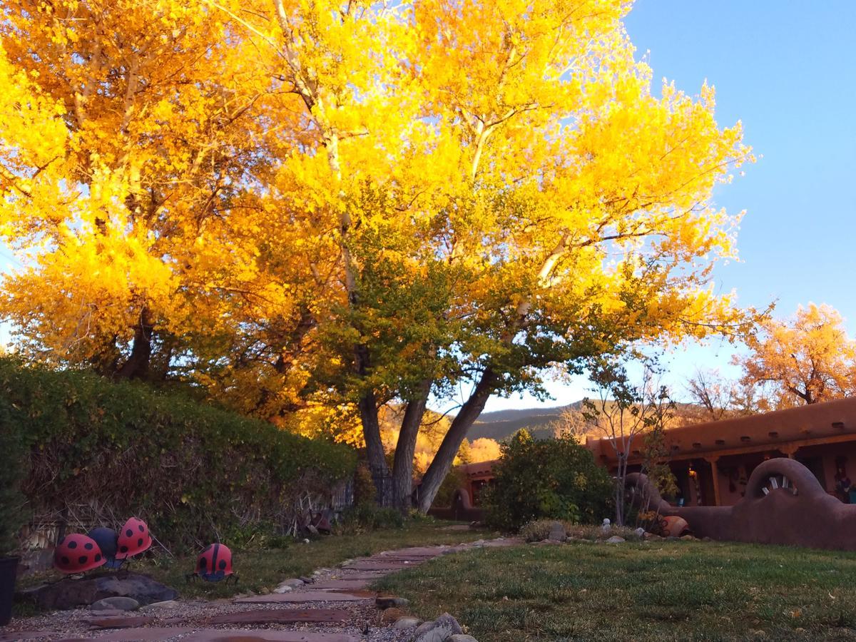 Inn On The Rio Taos Exterior photo